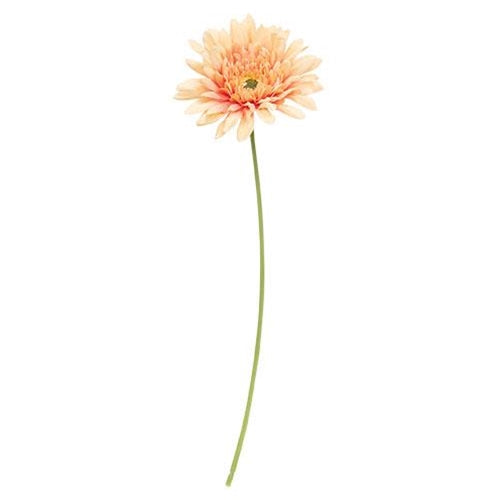 Blooming Daisy Stem Dark Pink