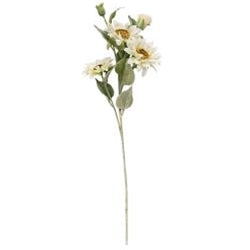 Sunflower Blooms Spray White