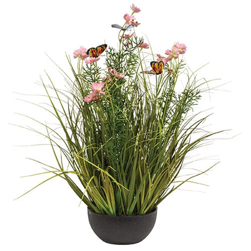 Potted Pink Cosmos w/ Onion Grass & Butterflies