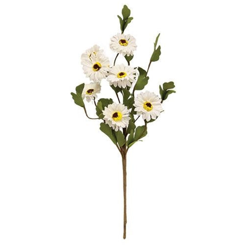 White Daisy Pick 15"
