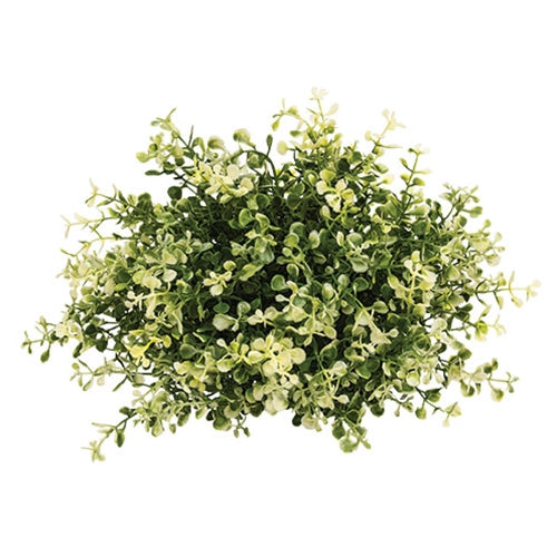 Cream Tipped Baby's Grass Half Sphere - 9" x 6.5"H