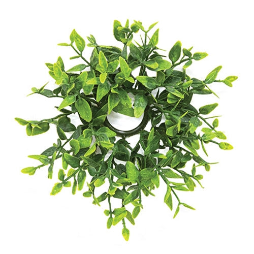 Lush Green Lemon Beauty Candle Ring - 1"