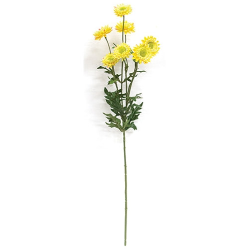 Yellow Strawflower Spray - 25"