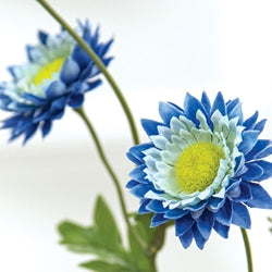 Blue Strawflower Spray - 25"
