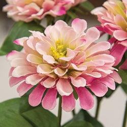 Pink Zinnia Spray - 23.5"