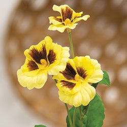 Yellow Pansy Pick - 14"