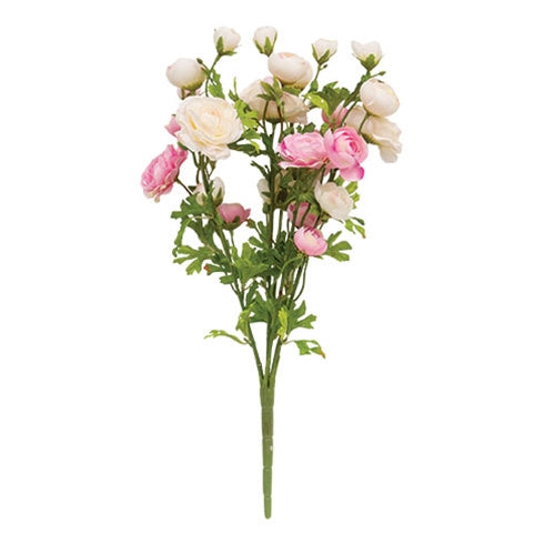 Pink & Cream Ranunculus Bush - 18"