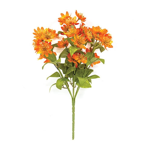Pumpkin St. John's Wort Bush - 12.5"
