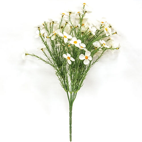 Starflower Spray - 15" - White