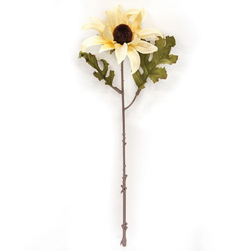 Black Eyed Susan Pick - 12" - Cream
