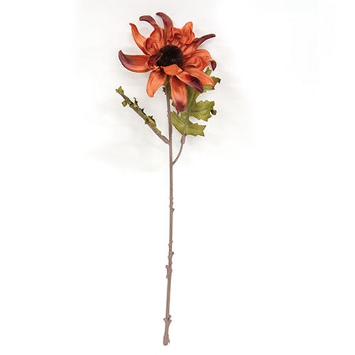 Black Eyed Susan Pick - 12" - Coral