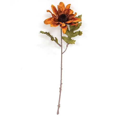 Black Eyed Susan Pick - 12" - Tan