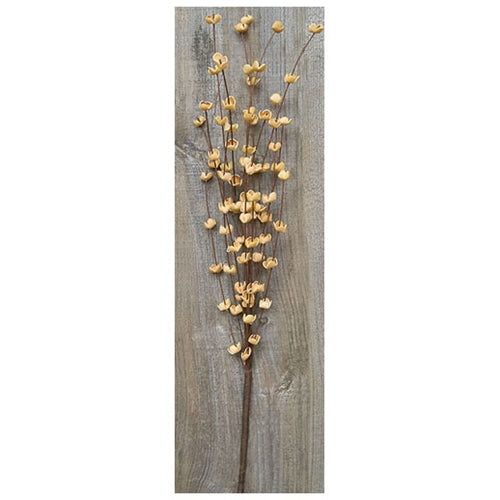 Buttercup Pick - Teastain