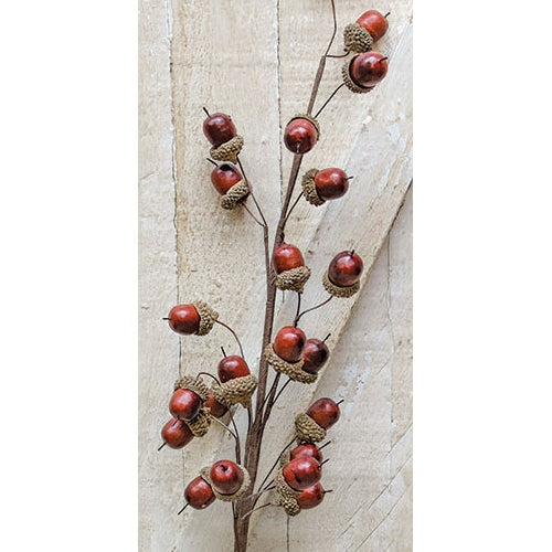 Acorn Spray - 27"