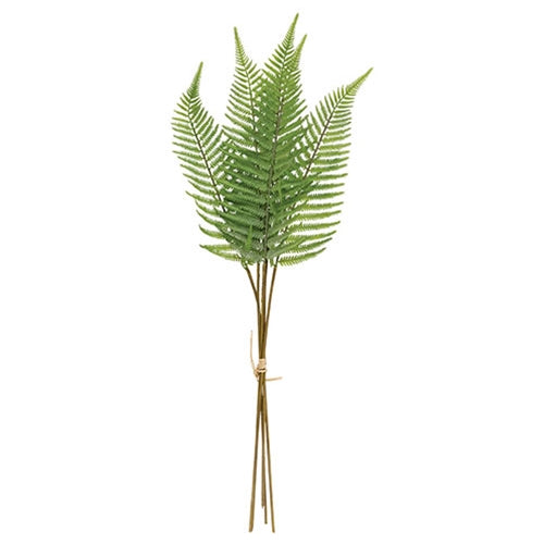Wispy Fern Bundle - 21"