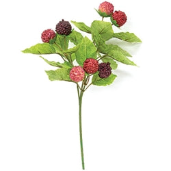 Fresh Raspberries Pick - 10.5"