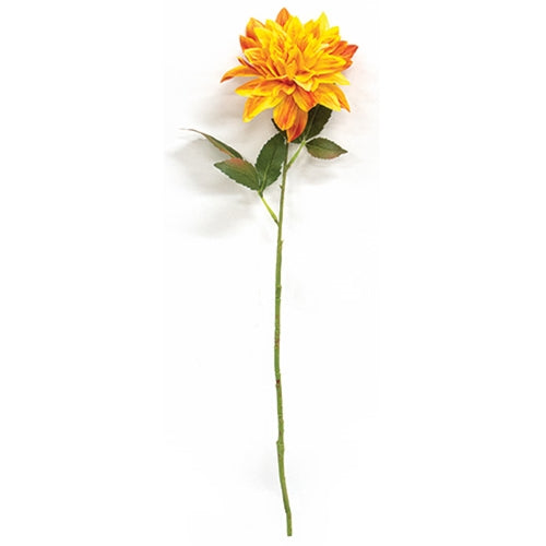Sunrise Dahlia Stem - 27"H