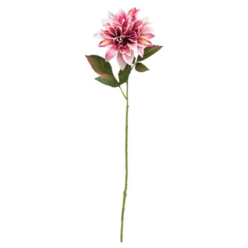Sunset Dahlia Stem - 27"H