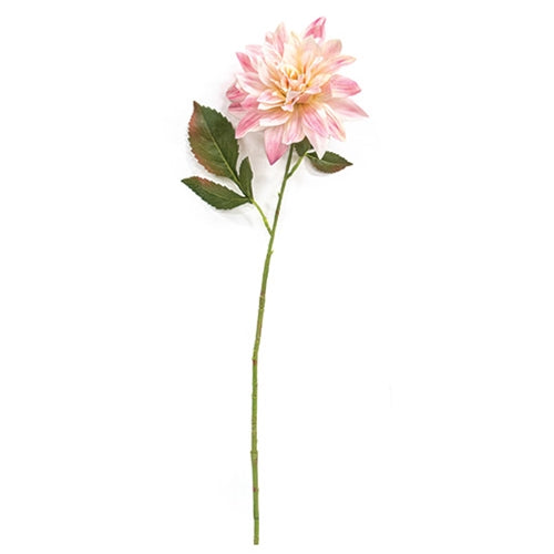 Blush Dahlia Stem - 27"H