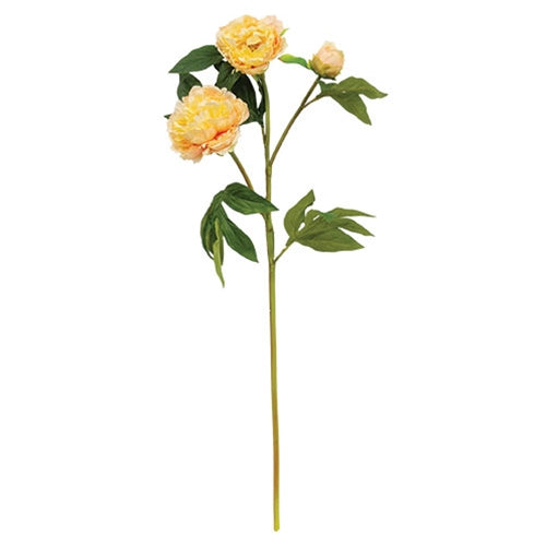 Peach Peony Spray - 30"
