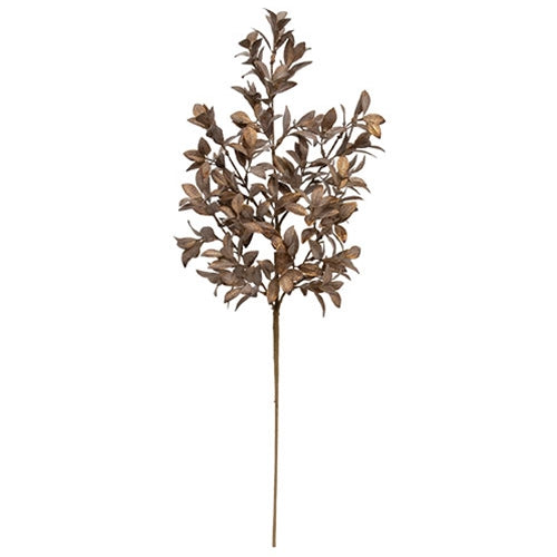 Gleaming Bronze Fittonia Spray - 27"