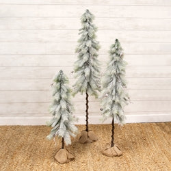 Snowy Bristle Pine & Boughs Tree w/Burlap Base - 34"