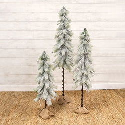 Snowy Bristle Pine & Boughs Tree w/Burlap Base - 56"