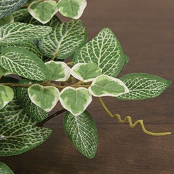 Mixed Ivy & Vine Candle Ring - 6"