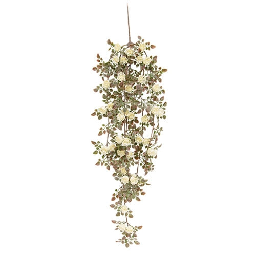 Frosted Fantasy Cream Rose Hanging Vine - 26.5"