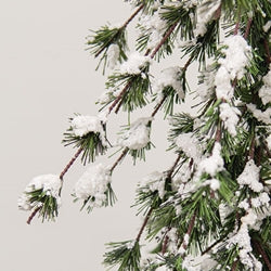 Glistening Snowy Mini Ming Pine Tree w/Burlap Base - 4 Ft.