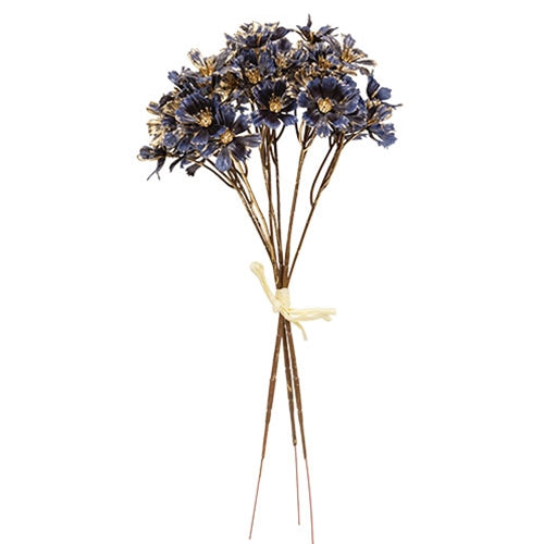 Golden Brushed Cosmos Bundle - 14" - Navy