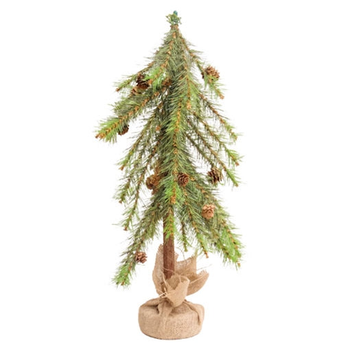 Luxemburg Pine Tree With Burlap Base - 2 Ft.