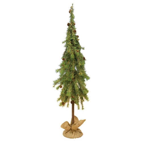 Luxemburg Pine Tree With Burlap Base - 4 Ft.