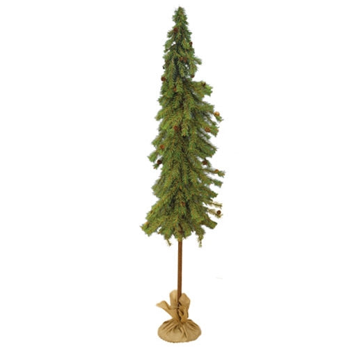 Luxemburg Pine Tree With Burlap Base - 6 Ft.