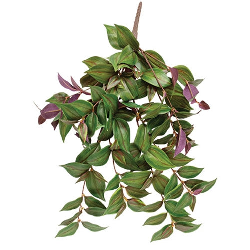 Day Flower Hanging Vine Bush - 25"