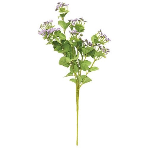 Queen Ann's Lace Spray Purple