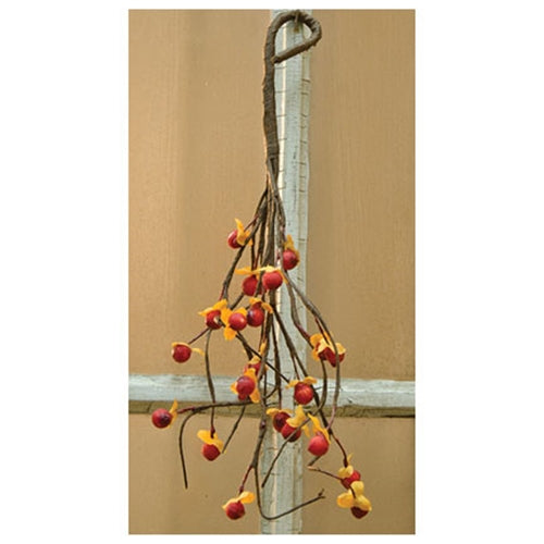 Bittersweet Pick 13"