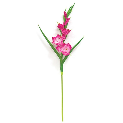 Pink Gladiolus Stem - 27"