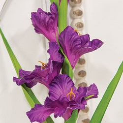 Purple Gladiolus Stem - 27"