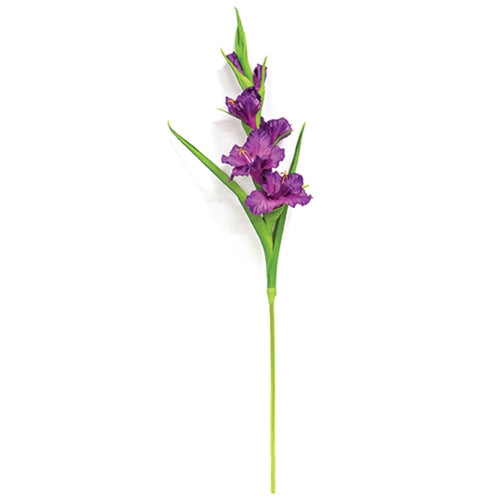 Purple Gladiolus Stem - 27"