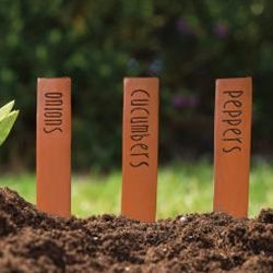 Vegetable Resin Plant Stake 6 asstd.