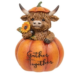 Resin Harvest Highland in Pumpkin - 3 Asstd.