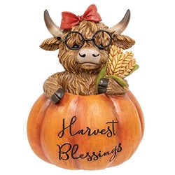 Resin Harvest Highland in Pumpkin - 3 Asstd.