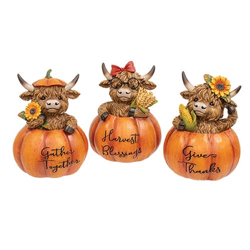 Resin Harvest Highland in Pumpkin - 3 Asstd.
