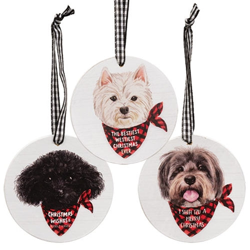 Doggy Christmas Wishes Round Ornament 3 Asstd.