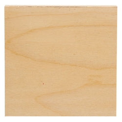 Hot Cocoa Bunny or Mouse Block - 5" Sq. - 2 Asstd.
