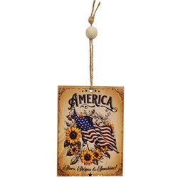 Vintage Americana Sunshine Ornament - 3 Asstd.