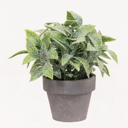Icy Gatehouse Pot #3 6"