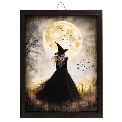 Enchanting Moon Witch Box Frame - 12x16