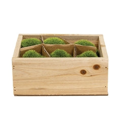 6/Set - Resin Mossy Mushrooms With Wooden Crate
